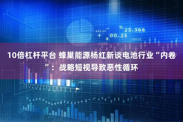 10倍杠杆平台 蜂巢能源杨红新谈电池行业“内卷”：战略短视导致恶性循环