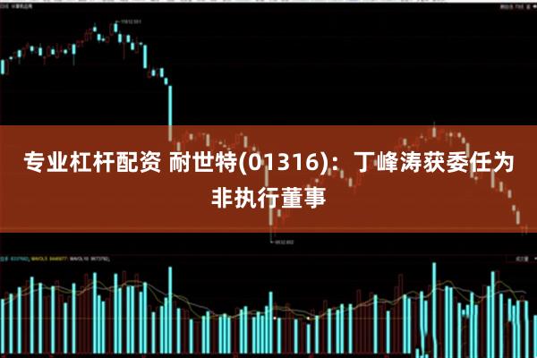 专业杠杆配资 耐世特(01316)：丁峰涛获委任为非执行董事