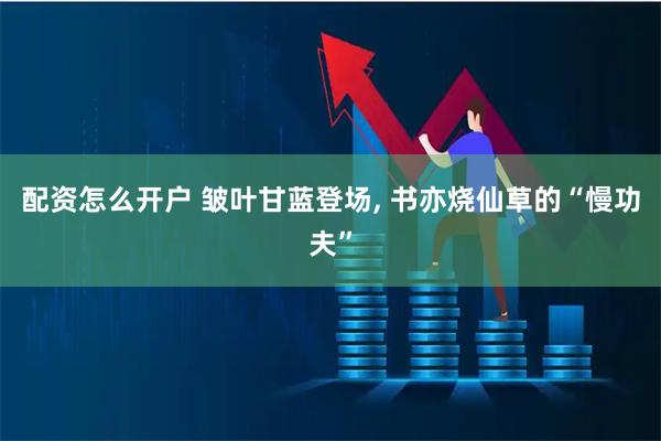配资怎么开户 皱叶甘蓝登场, 书亦烧仙草的“慢功夫”