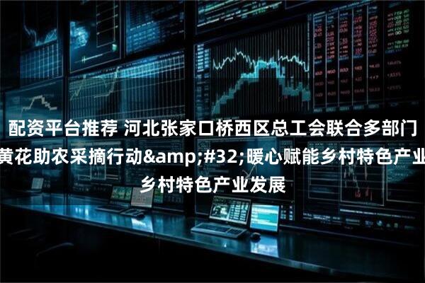 配资平台推荐 河北张家口桥西区总工会联合多部门开展黄花助农采摘行动 暖心赋能乡村特色产业发展